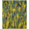 Nr.O030
ohne Titel
�l auf Leinwand
60 x 70
2003